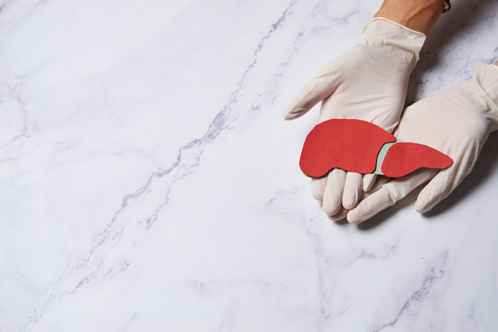 Hands holding healthy liver, organ donation, hepatitis vaccination, liver cancer treatment,